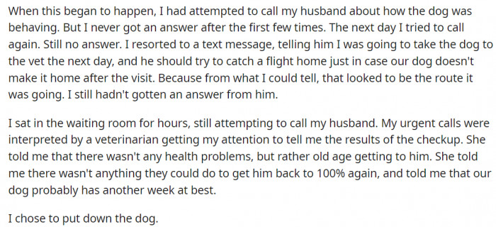 OP Tried Several Times to Reach His Husband, to No Avail. Therefore, He Decided to Make the Difficult Decision of Euthanizing the Dog Alone