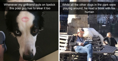 21 Pictures That Prove Dogs Are The Most Enchanting Pets Ever