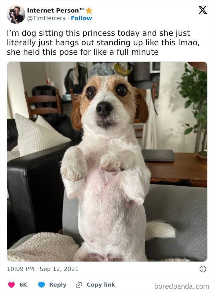 "This Little Princess Pose"
