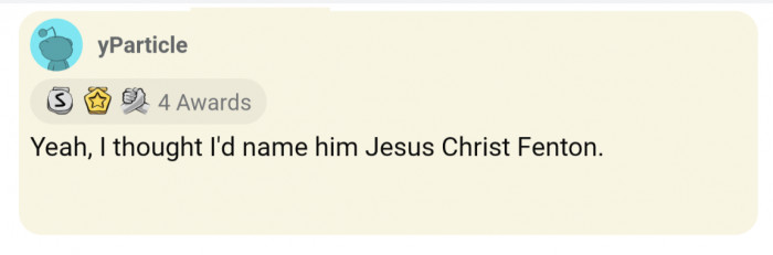 13. JESUS CHRIST FENTON