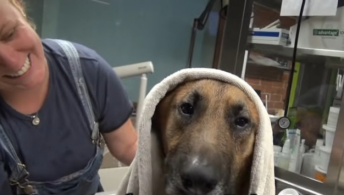 Finally, a Happy Ending for All