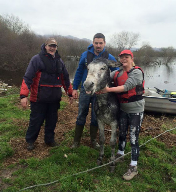 And that is how this smiley donkey was rescued