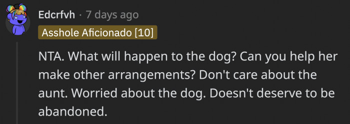 Whoever is TA in this situation, a big concern is the safety of the dog