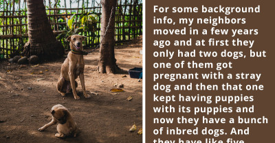 Woman Wants to Call Animal Control on Neighbor Because They Are Not Taking Care of Their Dogs Properly