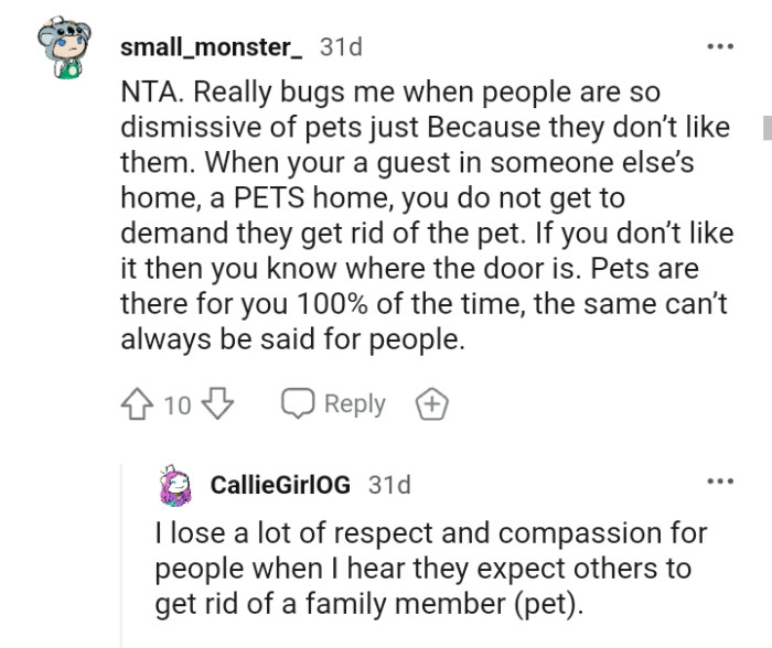 Pets are there for you all the time