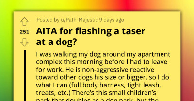 Woman Uses Taser Sound To Chase Away Aggressive Dog; Its Owner Starts Yelling At Her