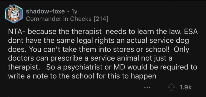 You're not supposed to take an actual service dog into stores or schools.