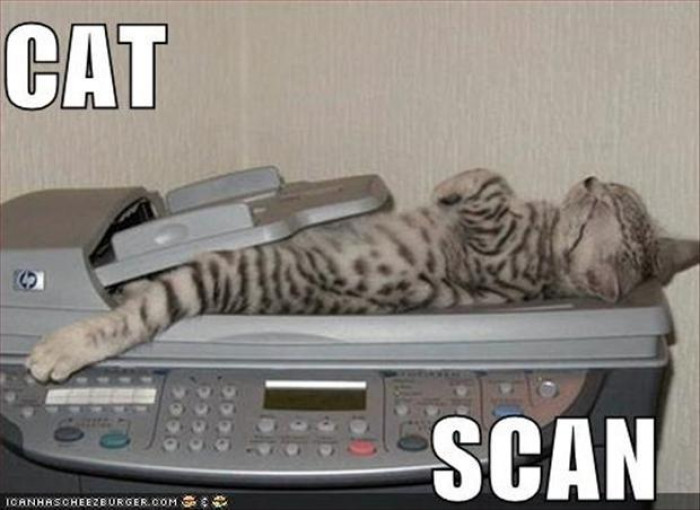 21. True definition of a cat scan