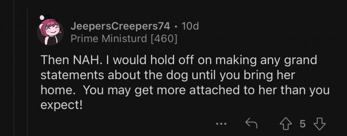Op might get attached to the dog despite the circumstances.