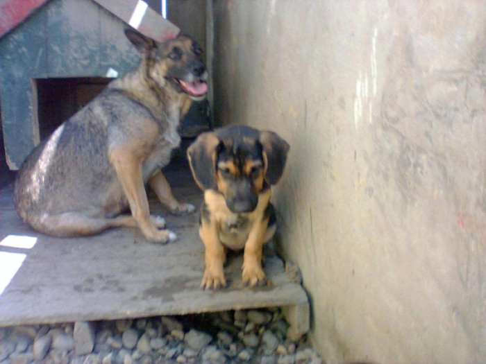 In addition to seeking medical assurance for their well-being, Vesna made the compassionate choice to have the family sterilized, preventing future generations from experiencing the hardships of street life.