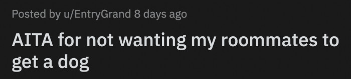 OP regrets not asking his friends about wanting pets before moving in with them