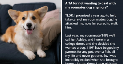 Redditor Goes Back on Promise to Help Her Roommate with Her Dog Because He Bit Her, Gets Angry Reaction