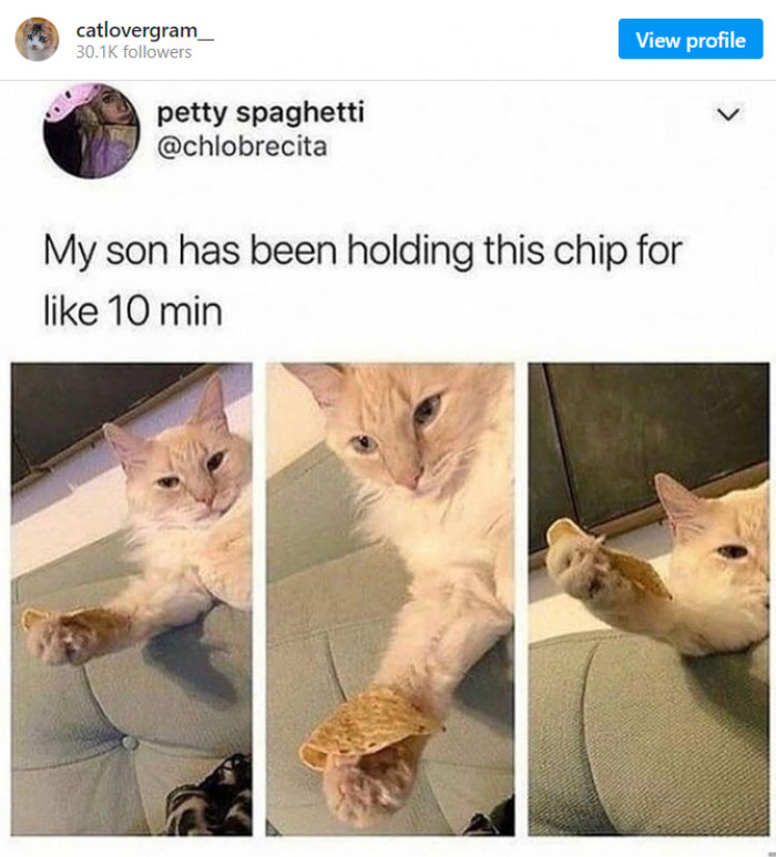 8. Whatever makes him happy...