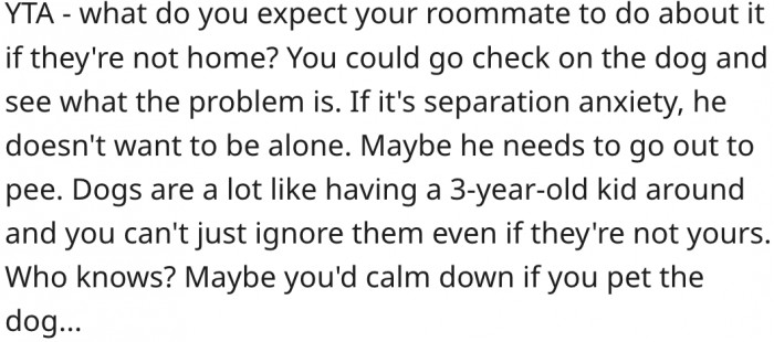 7. You shouldn't ignore a dog just because it isn't yours.