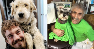 Here Are Wholesome Photos Of Pet Owners And Their Pets Showing How Much They Look Alike