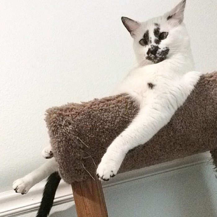 Lilly is treated like royalty and she deserves it