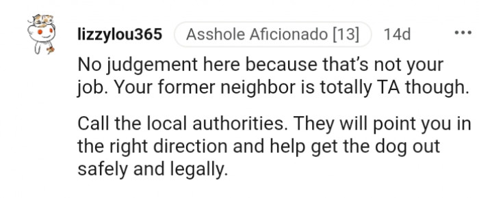 14. They will point you in the right direction