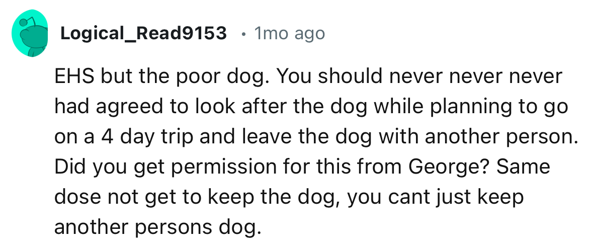 “You should never never never had agreed to look after the dog while planning to go on a 4 day trip and leave the dog with another person.“