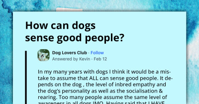 Canine Lovers Gather Together To Dish Out Information On If And How Dogs Can Sense Good People