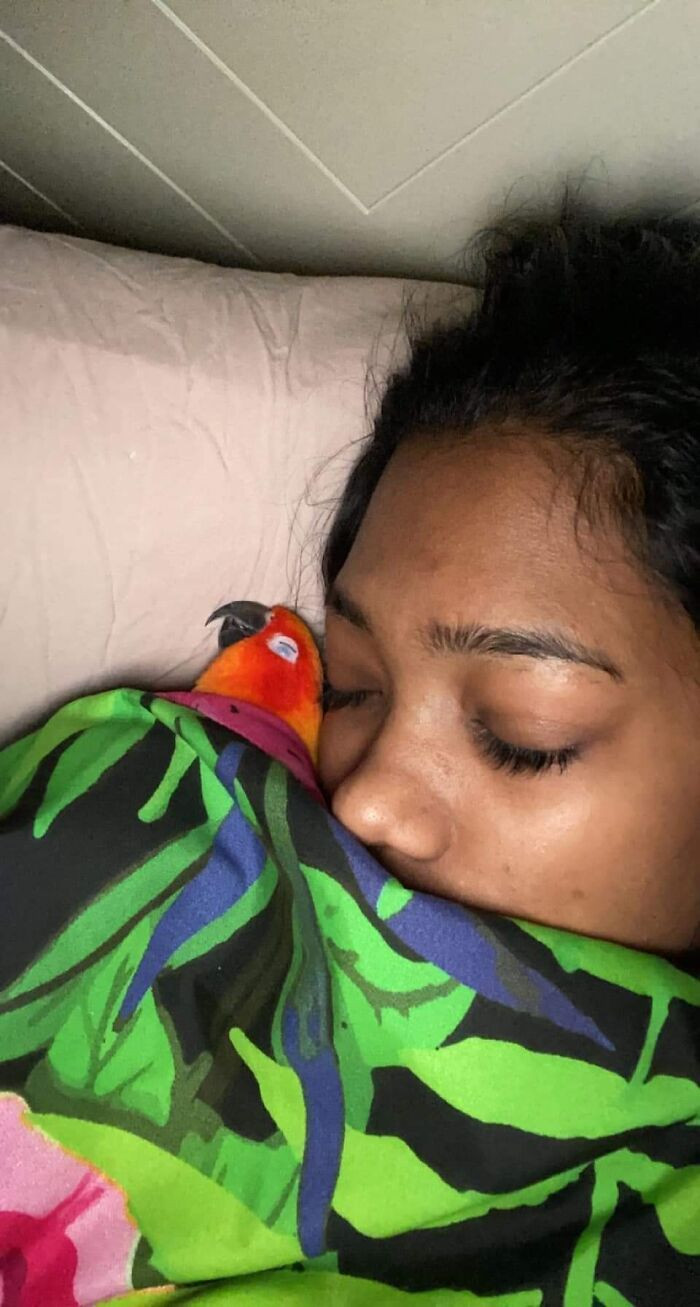 33. Two sleeping beauties, one of them is legally five inches tall.