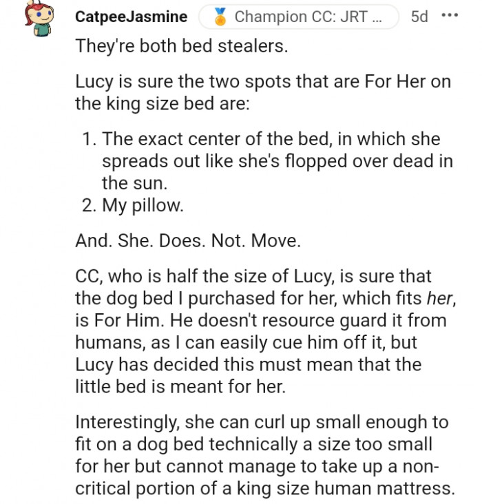 3. The dogs belonging to these Redditors are bed stealers