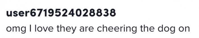 They are cheering for the dog