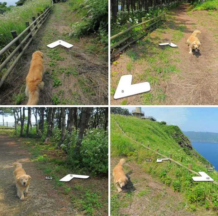 3. The Google Earth guy got an unexpected travel buddy