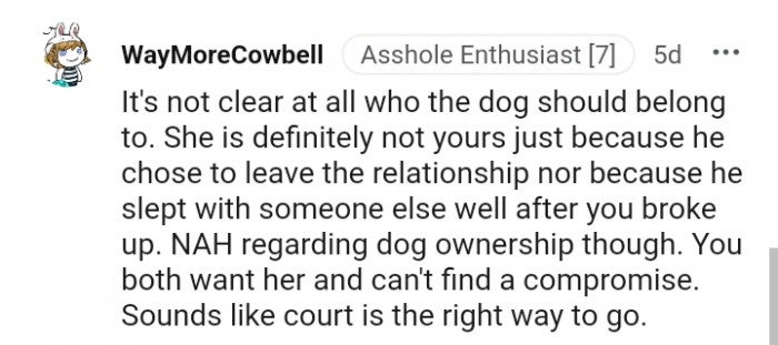 Regarding the dog ownership, the OP is not at fault