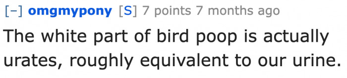 What the white part of bird droppings actually is