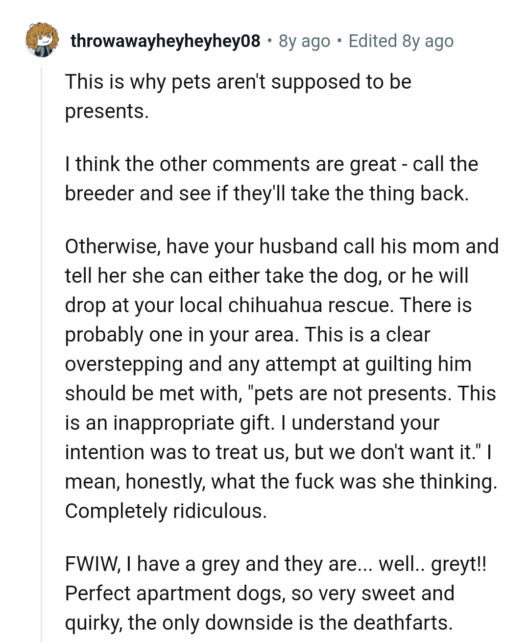 Dropping it at a local Chihuahua rescue