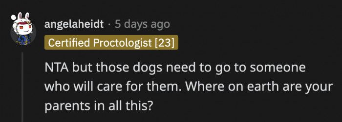 All the Yelling in the House Did Not Alert Them to the Fight Among Their Kids