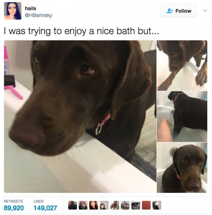 12. I love this. Clearly, he just wanted to join her in the bathtub.