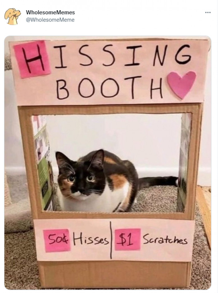 20. I would give her all my money