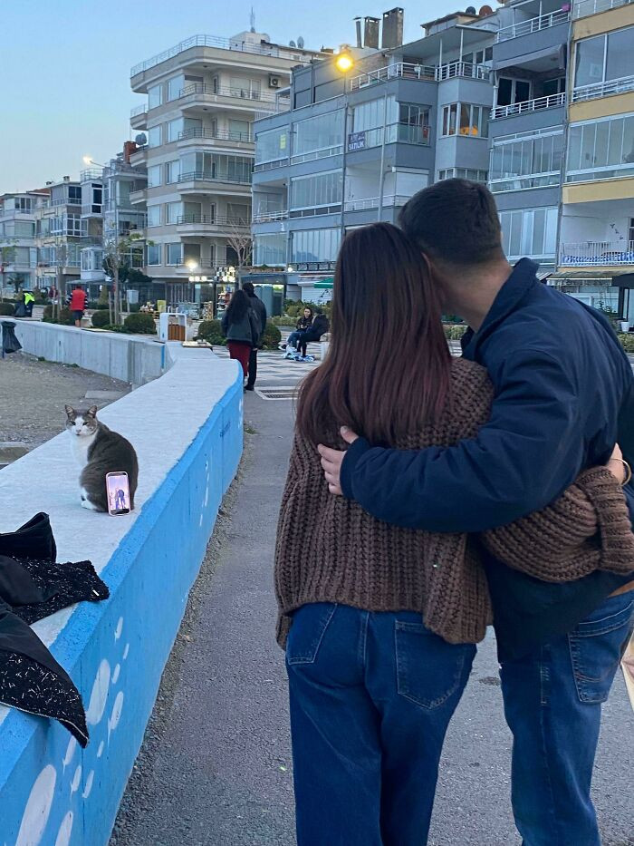 "Not Cameraman, It's Catmeraman."