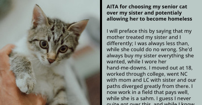 Woman Chooses Her Senior Cat Over Her Sister, Potentially Causing Her To Become Homeless