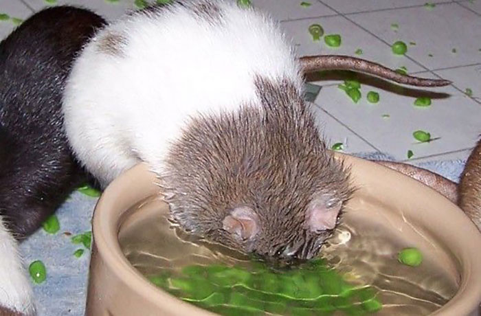 37. It feels so good