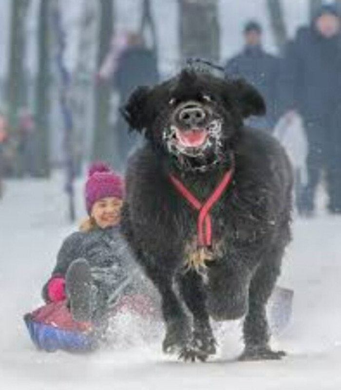26. “This poor #newfie will never live this down. EVER.”
