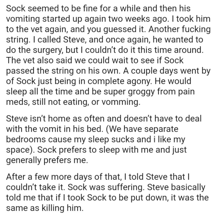 The cat would sleep all the time and be super groggy from pain meds, still not eating, or vomming