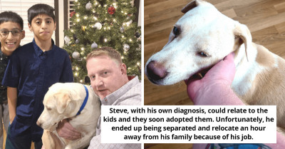 A Retired Army Veteran Finds Companionship With A Blind And Deaf Dog Who Spent 200 Days In A Shelter