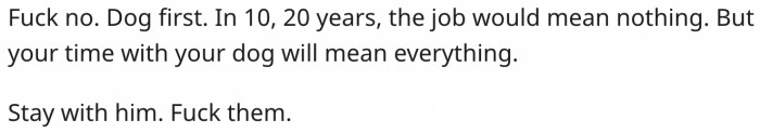 7. Her dog is more important than her job.