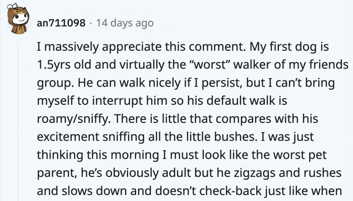 Adventure walks that tire dogs out would...