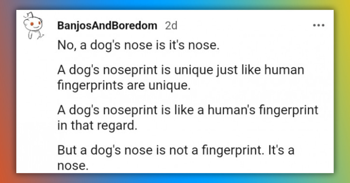 Redditors Learn That Every Dog's Nose Print Is Unique And Can Be Compared To Fingerprints