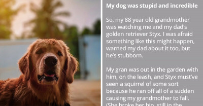 Family Dog Unintentionally Causes His 88-Year-Old Grandma to Fall When He Chased a Squirrel, but He Immediately Went to Her Side to Get Help