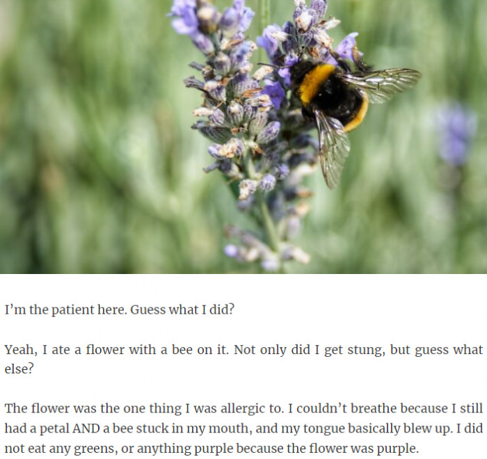 24. A flower bee