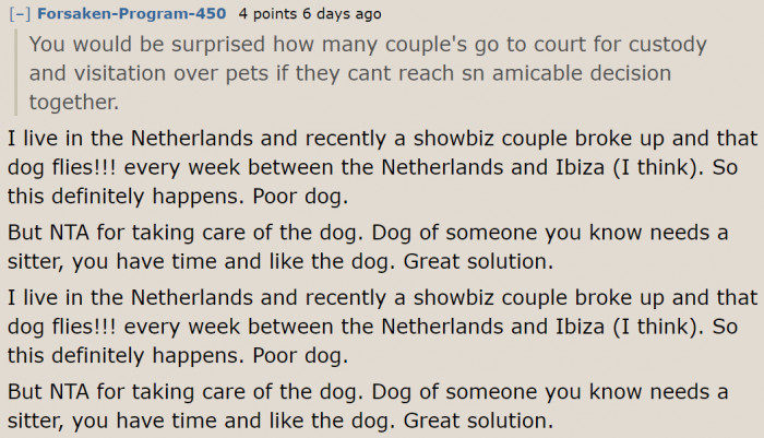 Another proof that you can love a dog's ex without loving your ex