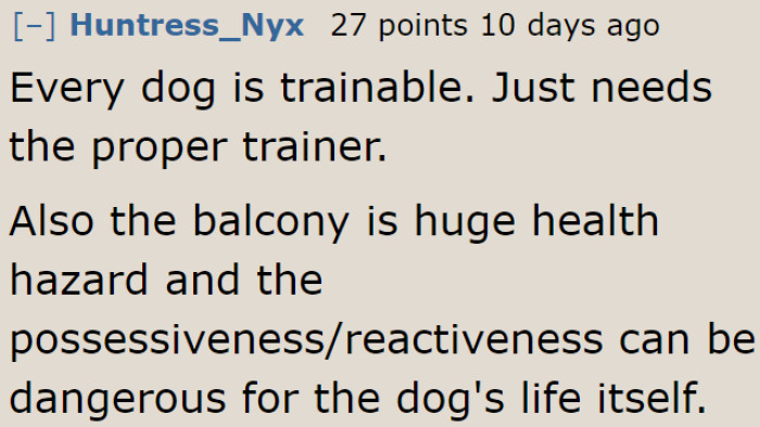 The OP can consider hiring a trainer.