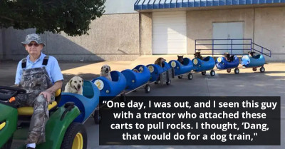 80-Year-Old Retiree Sets The Internet Abuzz After Building An Adorable Dog Train To Take His Furry Friends On Adventures