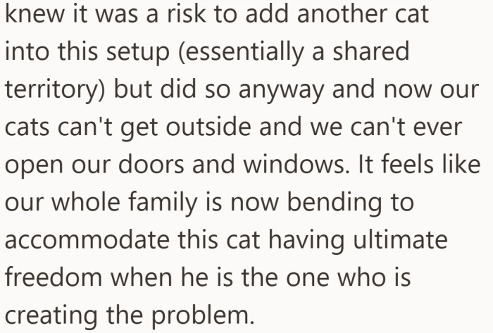She feels like her entire household is adjusting their lives so one aggressive kitten can roam freely.