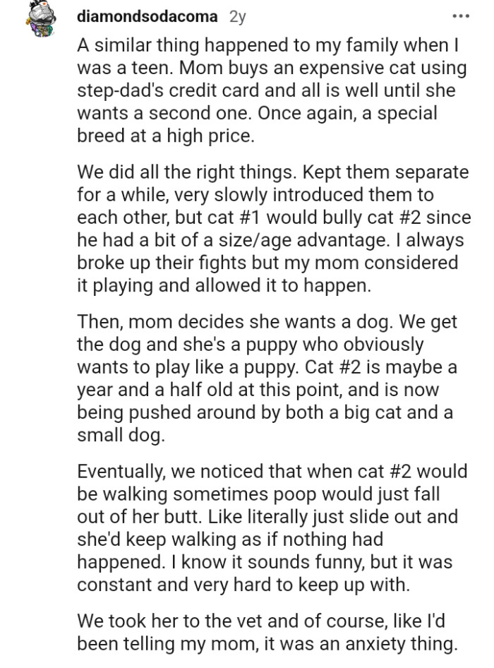 A Similar Thing Happened to This Redditor's Family and the Story Is Right Below