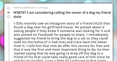 Redditor Asks If She Should Report Her Friend For Finding A Lost Dog And Gifting It To Another Person Without Trying To Find Its Owner